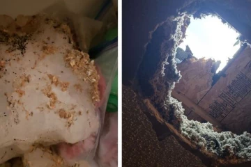 இலங்கையில் இடம்பெற்ற விசித்திர சம்பவம்!