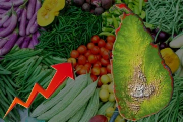 வேகமாக அதிகரிக்கும் மரக்கறி விலை : நுகர்வோர் அதிருப்தி