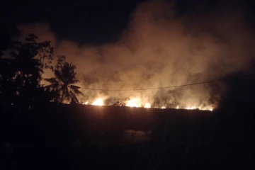 ප්‍රභල ගින්නක්.. වෙල් යායක සිදුවූ විනාශය..