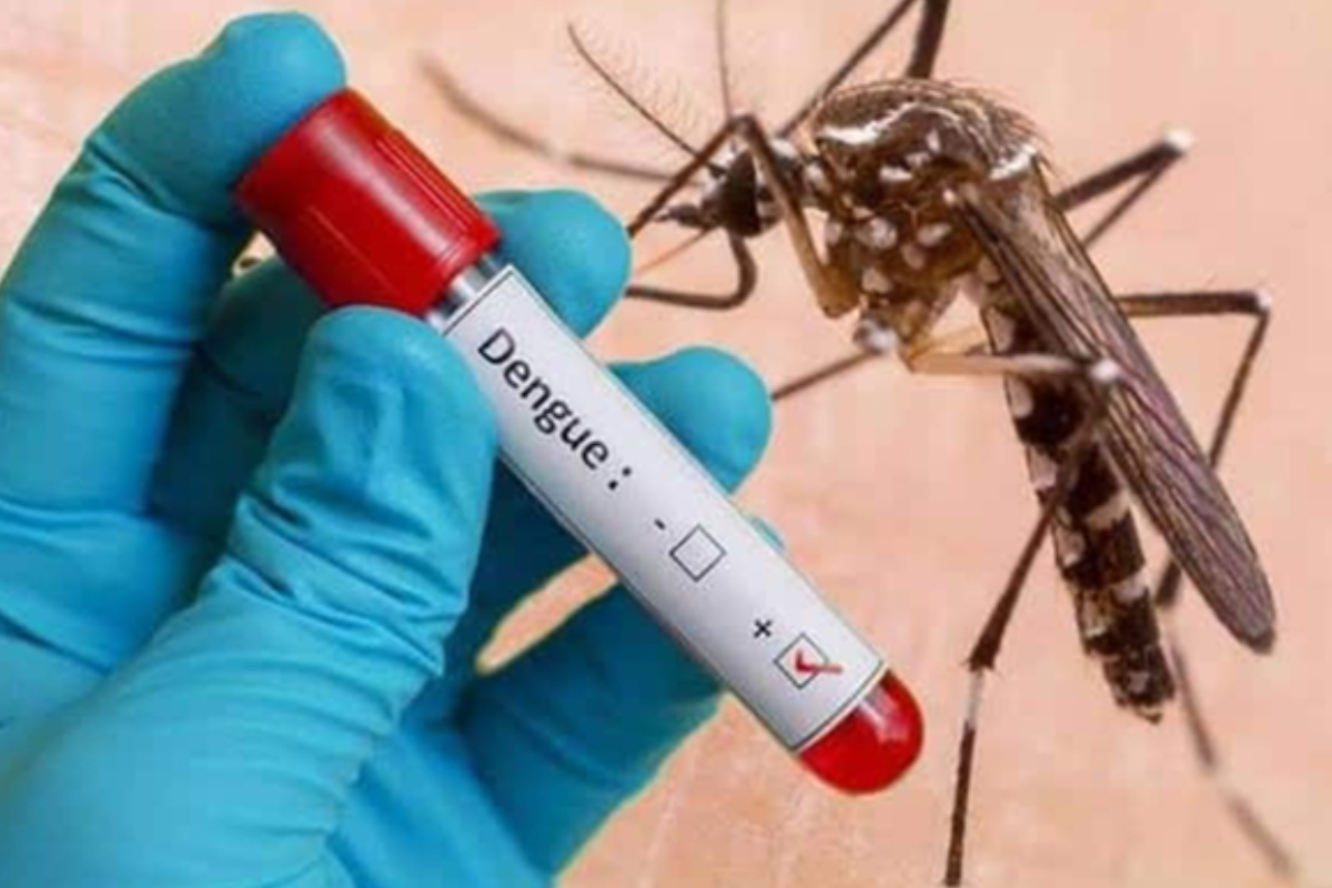 டெங்கு மரணங்கள் 59 ஆக உயர்வு | Dengue Deaths Rise To 59 டெங்கு மரணங்கள் 59 ஆக உயர்வு | Dengue Deaths Rise To 59