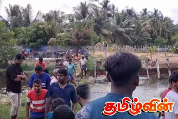 வழிமாறி திரிந்த காட்டு யானைக்கூட்டம் : அச்சத்தில் மக்கள்