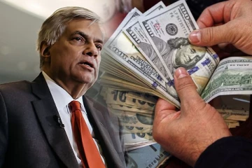 இலங்கைக்கு பெருந்தொகை டொலர்கள் கிடைத்துள்ளதாக ஜனாதிபதி ரணில் தெரிவிப்பு