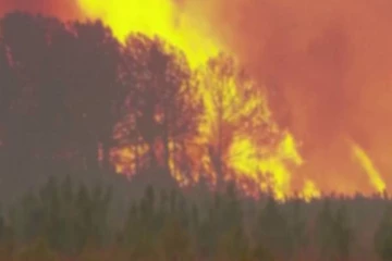 அர்ஜென்டினாவில் பற்றி எரிந்த தீ...சாம்பலான லட்சக்கணக்கான  ஹெக்டர் நிலங்கள்