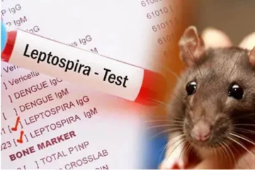 கள்ளக்குறிச்சி மக்களுக்கு மீண்டும் அதிர்ச்சியை ஏற்படுத்திய எலிக்காய்ச்சல் - 7 பேர் கண்டுபிடிப்பு