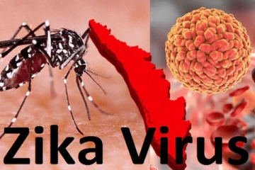 கர்நாடகாவை அச்சுறுத்தும் ஜிகா வைரஸ்! தடுப்பது எப்படி?