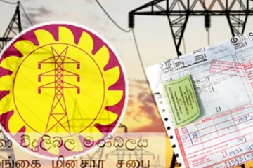 இலங்கையர்களுக்கு கிடைக்கப்போகும் விசேட மின் கட்டணச் சலுகை