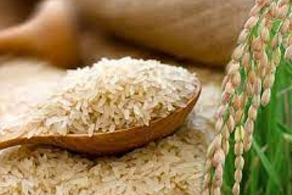 அரிசி உற்பத்தியாளர்கள் சங்கம் அரசிடம் கோரிக்கை - ஜே.வி.பி நியூஸ்