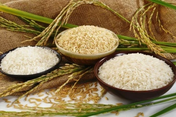 அரிசி தொடர்பில் வெளியான அதிர்ச்சித் தகவல்!