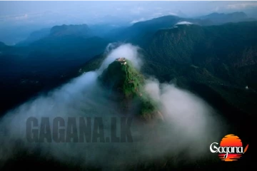 නමුණුකුල කඳු වැටියේ ගින්නක් අක්කර 50ක් දැවේ