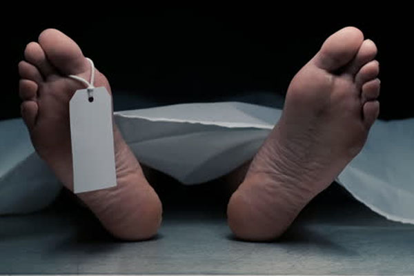 விபத்தில் உயிரிழந்த வயோதிபர்; தப்பிச் சென்ற சாரதி | Driver Ran Away After Hitting An Elderly Person