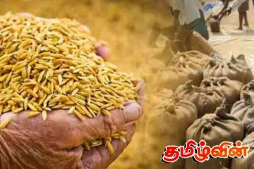 நெல் கொள்வனவு தொடர்பில் வெளியான தகவல்
