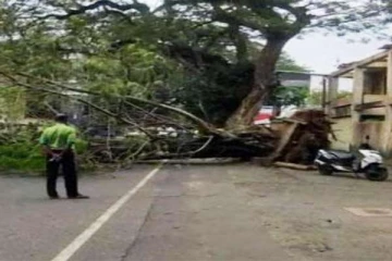 கொழும்பு பிரதான வீதியில் போக்குவரத்து பாதிப்பு