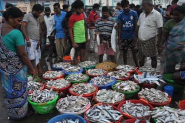 மீன் பிரியர்களே... வரத்து குறைவால் மீன் விலை ஏற்றம்!