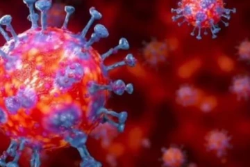 කොරෝනා ගැන නියෝජ්‍ය සෞඛ්‍ය අධ්‍යක්ෂ ජනරාල්වරයාගෙන් විශේෂ නිවේදනයක්..