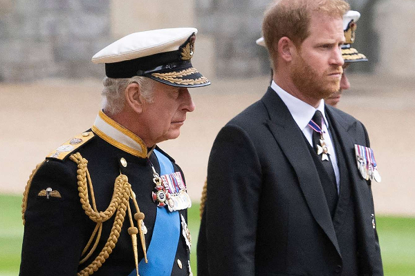 இளவரசர் ஹாரிக்கு 10 வது வரிசையில் இடம் ஒதுக்கிய பிரித்தானியா! | Prince Harry Is Ranked 10Th In Britain