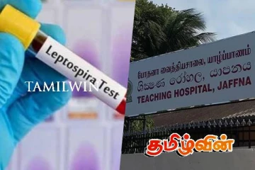 யாழில் எலிக்காய்ச்சலால் மேலும் ஒருவர் உயிரிழப்பு