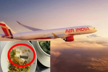 விமானத்தில் வழங்கப்பட்ட உணவு: பயணிக்கு காத்திருந்த அதிர்ச்சி