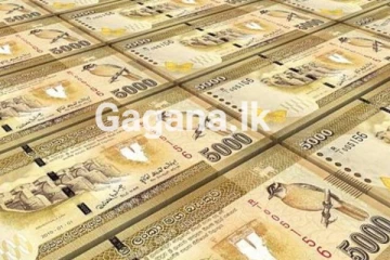 මෙරට වත්කම් බැරකම් ගිණුමේ අවුලක් - රජයේ ගිණුම් කාරක සභාවේ දී ලියූ දේ..