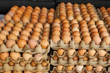 බිත්තර මිල අඩුවෙයි?..අලුත් ක්‍රමයක් හදුන්වා දෙන්න යයි..