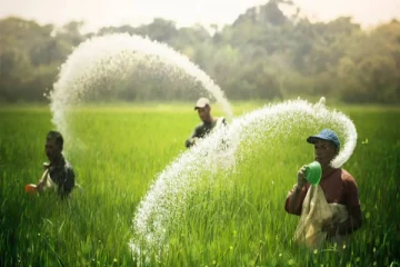 இலங்கை விவசாயிகளுக்கு வெளியான மகிழ்ச்சி தகவல்!