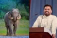 සියල්ල සෙවීමට උපදෙස් - මිය ගිය කාවන්තිස්ස වෙනුවෙන් සහ ඇතුන් සුරැකීමට ජනපතිගෙන් විශේෂඥ කමිටුවක්