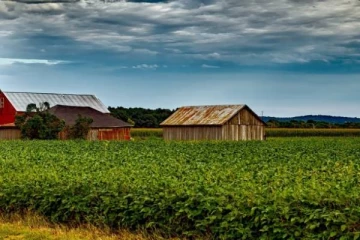 கனடாவில் கிராமப்புற பகுதியின் நிலத்தில் சடலம் கிடப்பதை பார்த்த நபர்! விரைந்து வந்த பொலிஸார்
