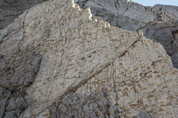 21 கோடி ஆண்டுகள் பழமையான டைனோசர் காலடிச்சுவடுகள் கண்டுபிடிப்பு | Thousands Of Dinosaur Footprints Found 21 கோடி ஆண்டுகள் பழமையான டைனோசர் காலடிச்சுவடுகள் கண்டுபிடிப்பு | Thousands Of Dinosaur Footprints Found