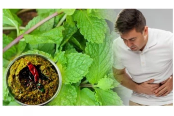 உடல் வெப்பத்தை தணிக்கும் புதினா துவையல் -  சுவையாக செய்வது எப்படி?