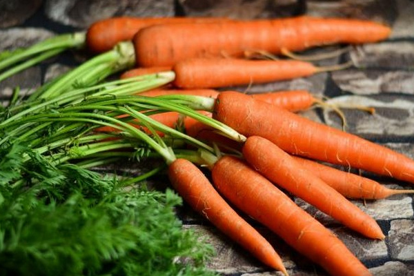 தொப்பையை குறைக்க இந்த வேர் காய் கறிகளை சாப்பிடணுமாம் | Eat This Root Curry To Reduce Belly Fat
