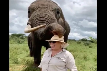 தொப்பியை விழுங்கியது போல நடித்து பெண்ணுடன் க்யூட்டாக விளையாடும் யானை - வைரலாகும் வீடியோ