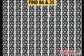 Optical illusion: கண்களை மாயமாக்கும் இந்த படத்தில் “86” மற்றும் “35” எங்கே உள்ளது?