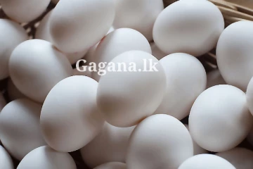 උත්සව සමයේ වැඩි වැඩියෙන් ඕනම කරන, බිත්තර ගැන උදේන්ම ඇහෙන ආරංචිය මොකක්ද දන්නවා ද?.