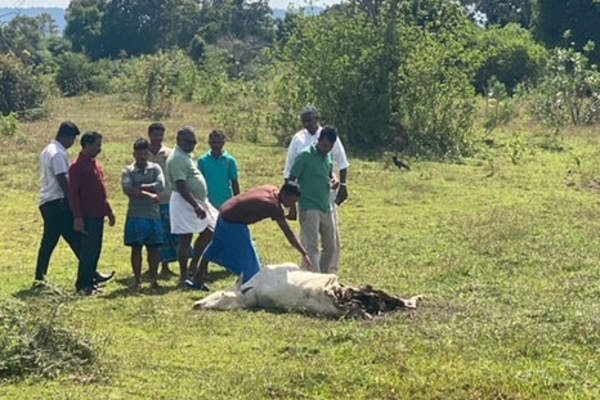 மைத்திரியின் திட்டமிட்ட சதி - வாழ்வுக்காக போராடும் தமிழர்கள் | Maithris Conspiracy Tamils Fighting For Life