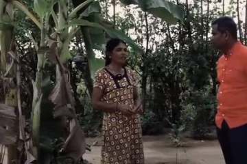 தாயகத்தில் தவிக்கும் பெண் தலைமைத்துவ குடும்பம் ஒன்றின்  கதை!