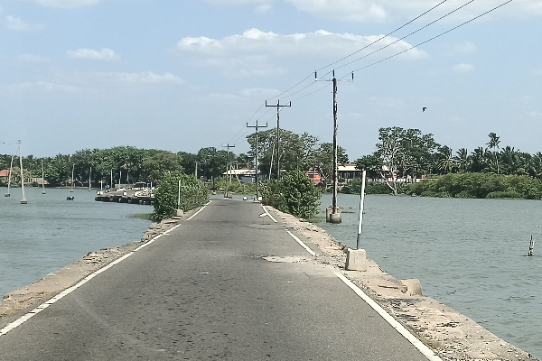 முல்லைத்தீவு - வட்டுவாகல் பாலத்தின் அவலநிலை; கண்டுகொள்வார்களா அதிகாரிகள்! | Mullaitivu Vattuwagal Bridge Plight