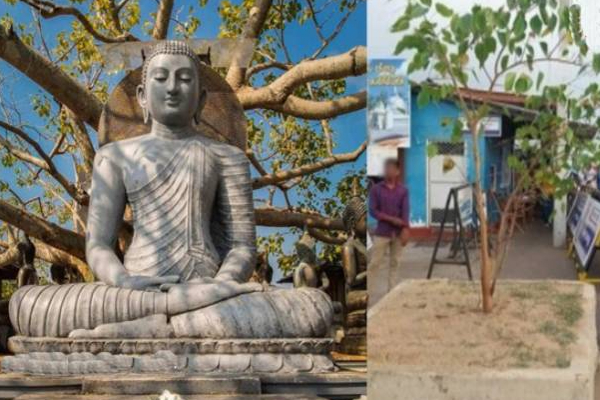 முக்கிய தமிழர் பகுதியில் சிங்கள அரசின் அடுத்த கட்ட நடவடிக்கை! பறிபோகுமா தமிழரின் நிலம்? | Sinhala Govt Next Step In The Tamils Lands Buddha