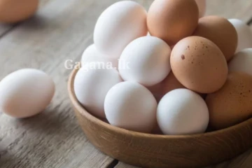 බිත්තර මිල වෙනස් වෙයි.. අද සිට මෙන්න මේ ගාණට ගන්න පුළුවන්.. බර අනුව මිල මෙන්න..