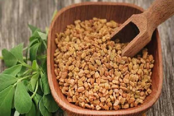 ஒட்டுமொத்த ஆரோக்கியத்தையும் மேம்படுத்தும் விதைகள்! இந்த பிரச்சினைக்கு எந்த விதை? | Healthy Seeds To Add In Your Diet And Benefits