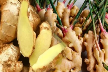 வரலாறு காணாத அளவுக்கு உயர்ந்துள்ள இஞ்சி விலை