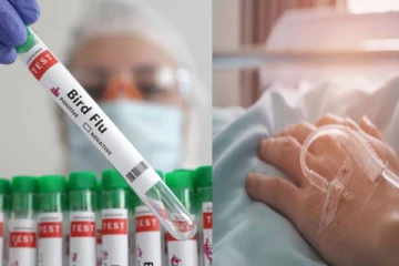 அமெரிக்காவில் பறவைக் காய்ச்சலின் எதிரொலி: விடுக்கப்பட்டுள்ள எச்சரிக்கை