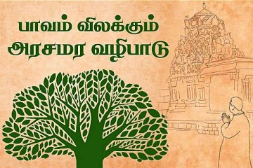 இன்று அமாசோம அமாவாசை: அரசமரம் சுற்றி வர கிடைக்கும் நன்மைகள்