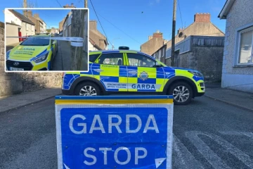 தாயின் உயிரை காக்க கத்திக்குத்து வாங்கிய 8 வயது சிறுமி: அயர்லாந்தில் நேர்ந்த சோகம்