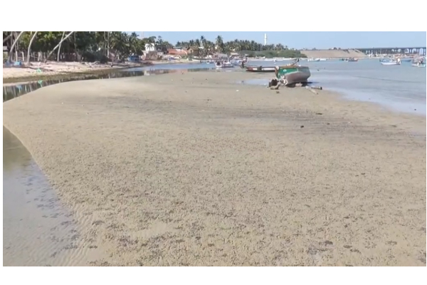 ராமேஸ்வரத்தில் திடீரென உள்வாங்கிய கடல் - அச்சத்தில் மக்கள் - தமிழ்நாடு