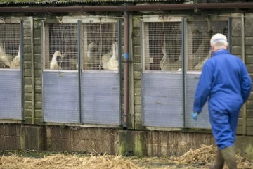 பிரித்தானியாவில் ஏற்பட்டுள்ள மற்றுமொரு அச்சுறுத்தல்!