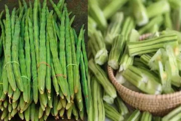 முருங்கைக்காய் சாப்பிட்டால் நடக்கும் அற்புதங்கள்!