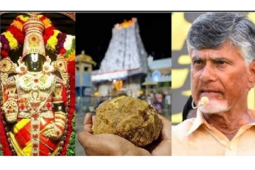 லட்டுவில் விலங்கு கொழுப்பு கலந்த நெய்..5 ஆண்டுகளுக்கு முன்பே தெரியும் - அர்ச்சகர் பரபரப்பு பேட்டி!