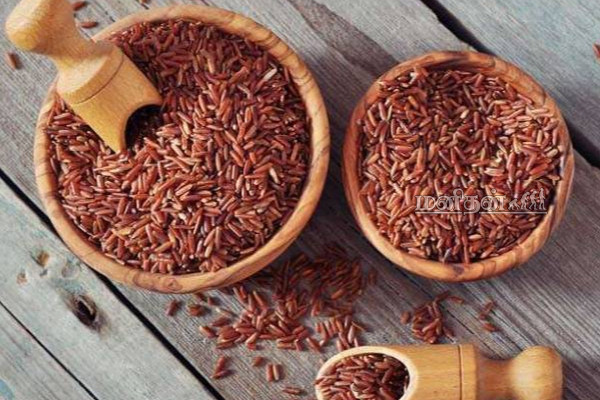 வாழ்நாள் முழுவதும் நுரையீரல், இதயம், நீரிழிவு நோய்கள் வராமல் இருக்கணுமா? இந்த ஒரு அரிசி போதும் | Red Gowni Rice Benefits In Tamil