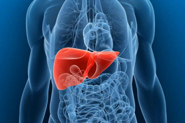 பக்கவிளைவுகளை ஏற்படுத்தும் பூண்டு! உறுப்புகள் பாதிக்கும் அபாயம்: எச்சரிக்கை | Garlic Side Effects In Tamil