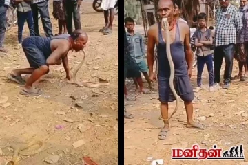 viral video: வாயாலேயே பாம்பு பிடித்த நபர்! தாறுமாறாக விமர்சிக்கும் நெட்டிசன்கள்
