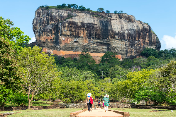 இலங்கையில் குவிந்த சுற்றுலாப் பயணிகள்! | Tourists Gathered In Sri Lanka